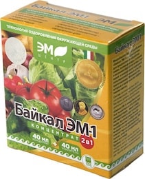 Байкал ЭМ-1 (2х1)