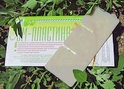 Эм-пластина